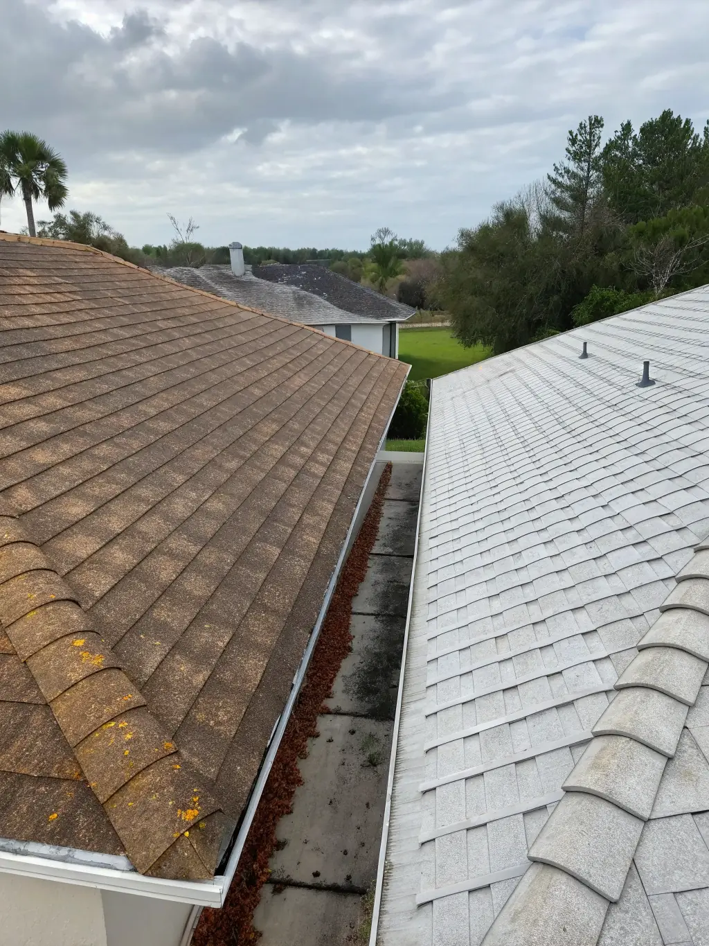 A before-and-after shot of a roof that has been cleaned, showing the removal of algae and debris. The image should highlight the effectiveness of professional roof cleaning services.